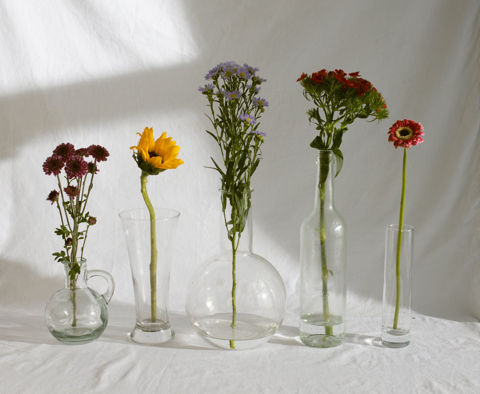 elegant various shaped glass vases with tender assorted flowers in daylight